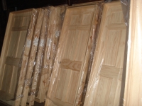 door pic ilion (29K)